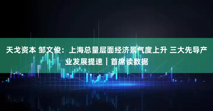 天戈资本 邹文俊：上海总量层面经济景气度上升 三大先导产业发展提速︱首席读数据