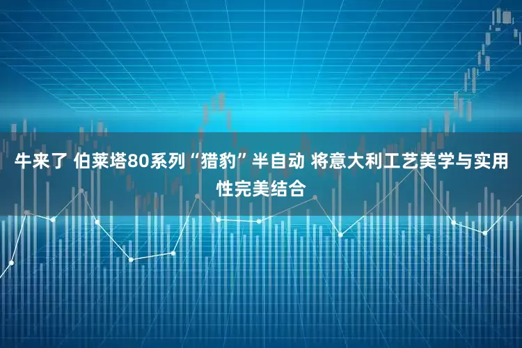 牛来了 伯莱塔80系列“猎豹”半自动 将意大利工艺美学与实用性完美结合