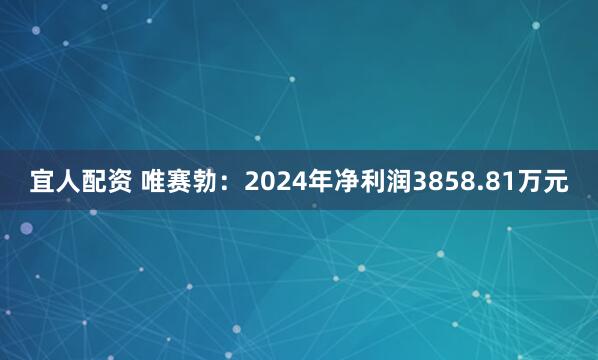 宜人配资 唯赛勃：2024年净利润3858.81万元