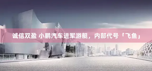 诚信双盈 小鹏汽车进军游艇，内部代号「飞鱼」