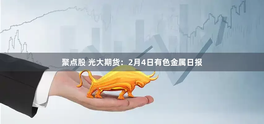聚点股 光大期货：2月4日有色金属日报